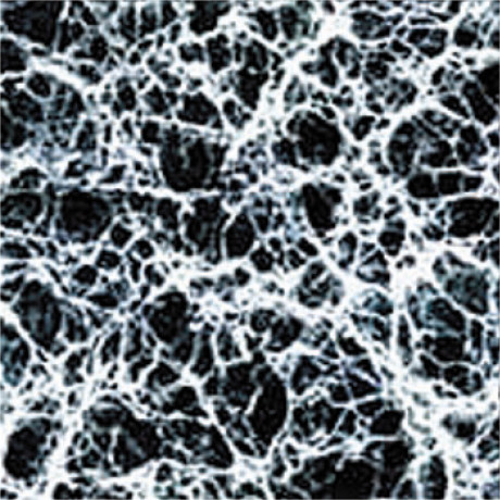 モイスチュアネット カンテンゲル電子顕微鏡(×15000)