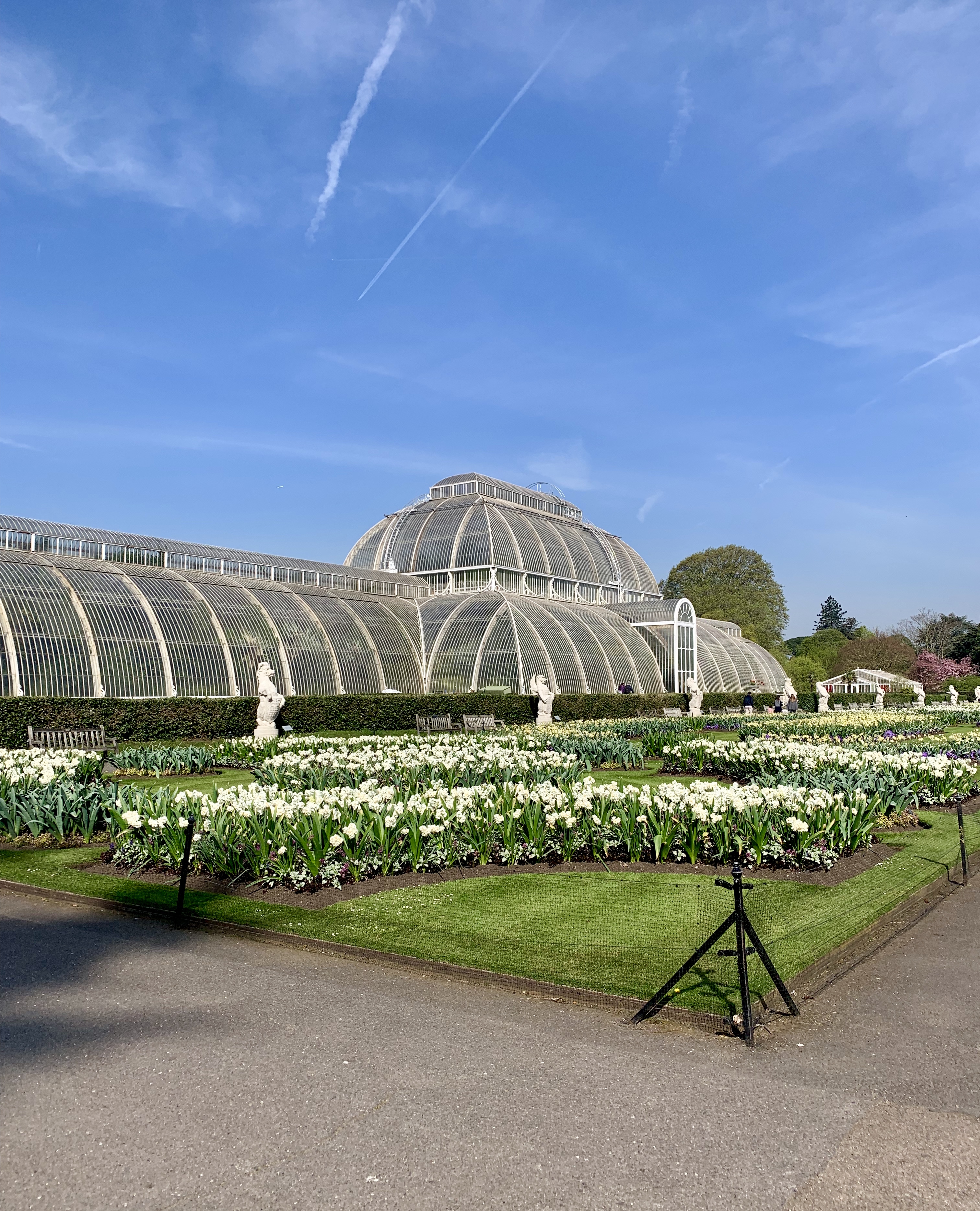 ロンドン郊外の広大な王立植物園